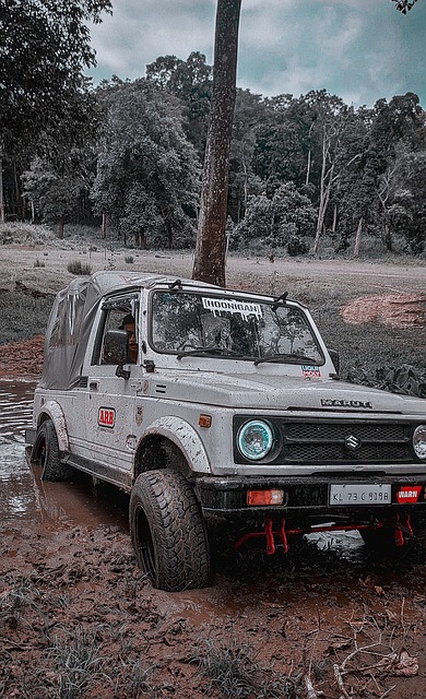 普遍表现出 普遍表现出