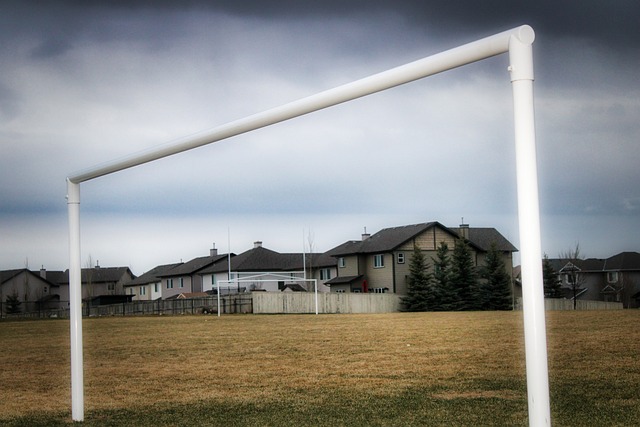 荷兰将归还119件贝宁青铜器给尼日利亚.