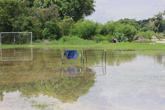 飛高的理由 飛高的理由